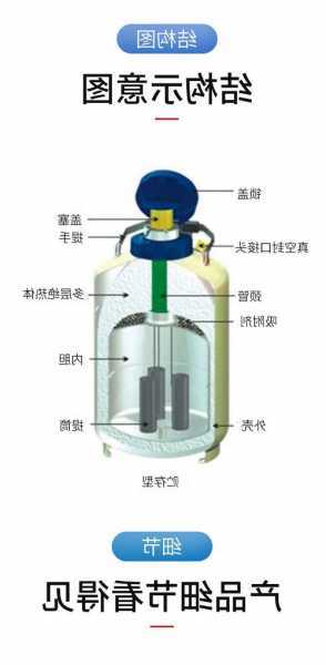 供应气相液氮罐厂家？气相液氮罐cryoshipper厂家？